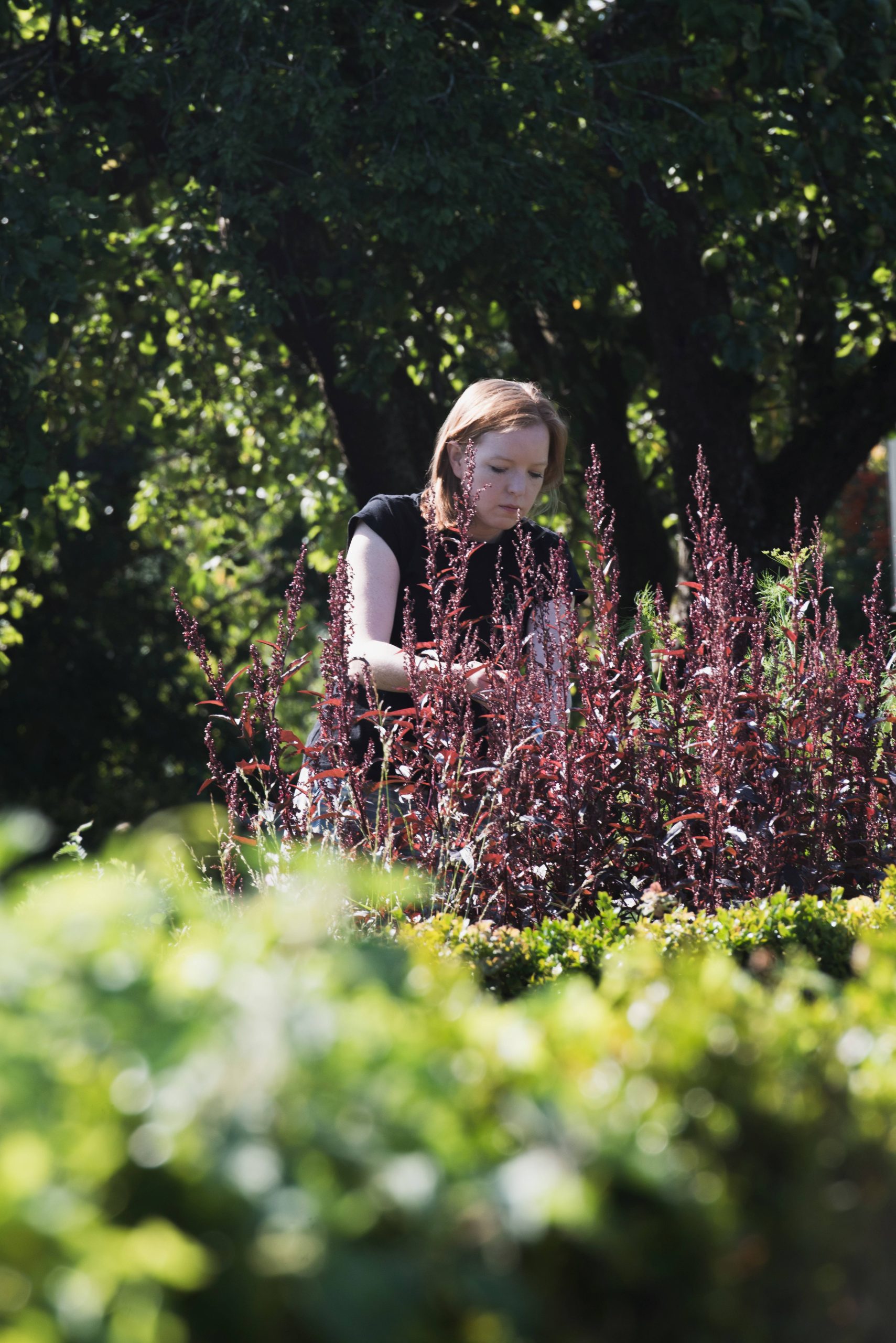 a girl picking leafs in a kitchen garden