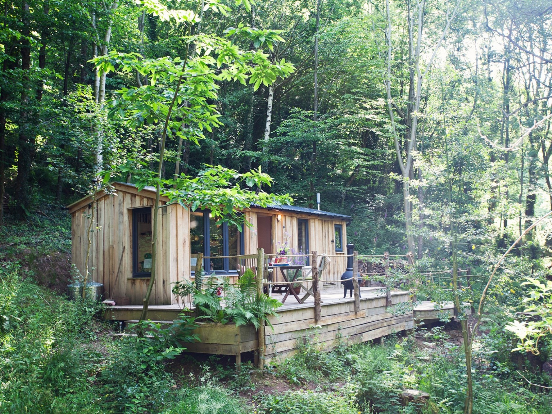 Secluded woodland cabin surrounded by trees in Bannau Brycheiniog (Brecon Beacons) National Park