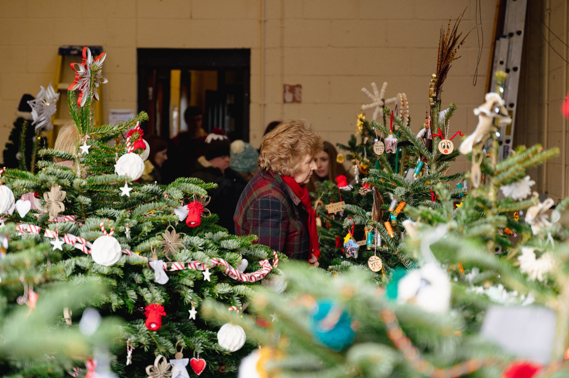 Christmas Trees for slae at the Winter Fair
