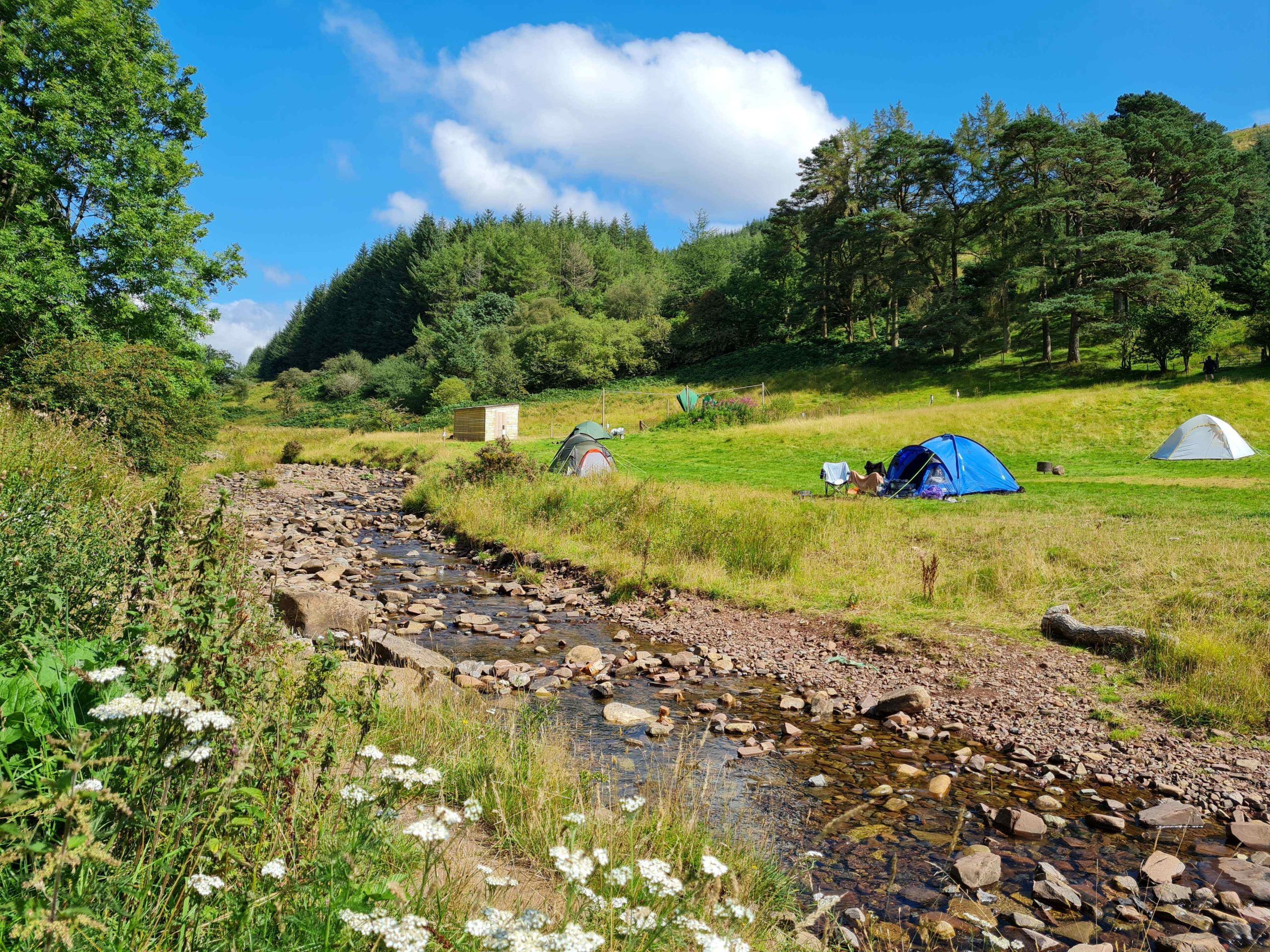 tents by a steam on the site at Parkwoods OUtdoors Dolygaer