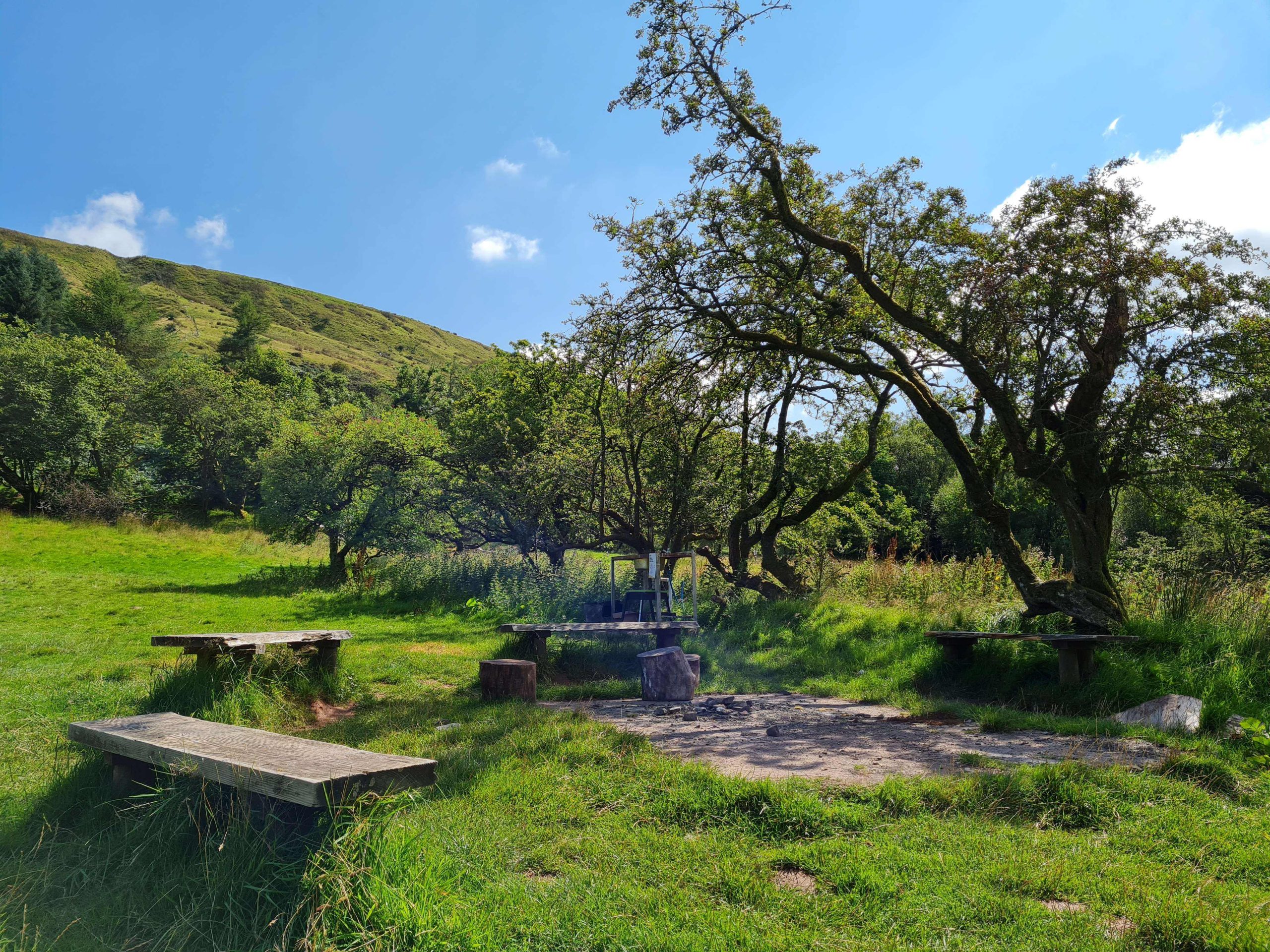outdoor seating space for use while camping, under some tree cover