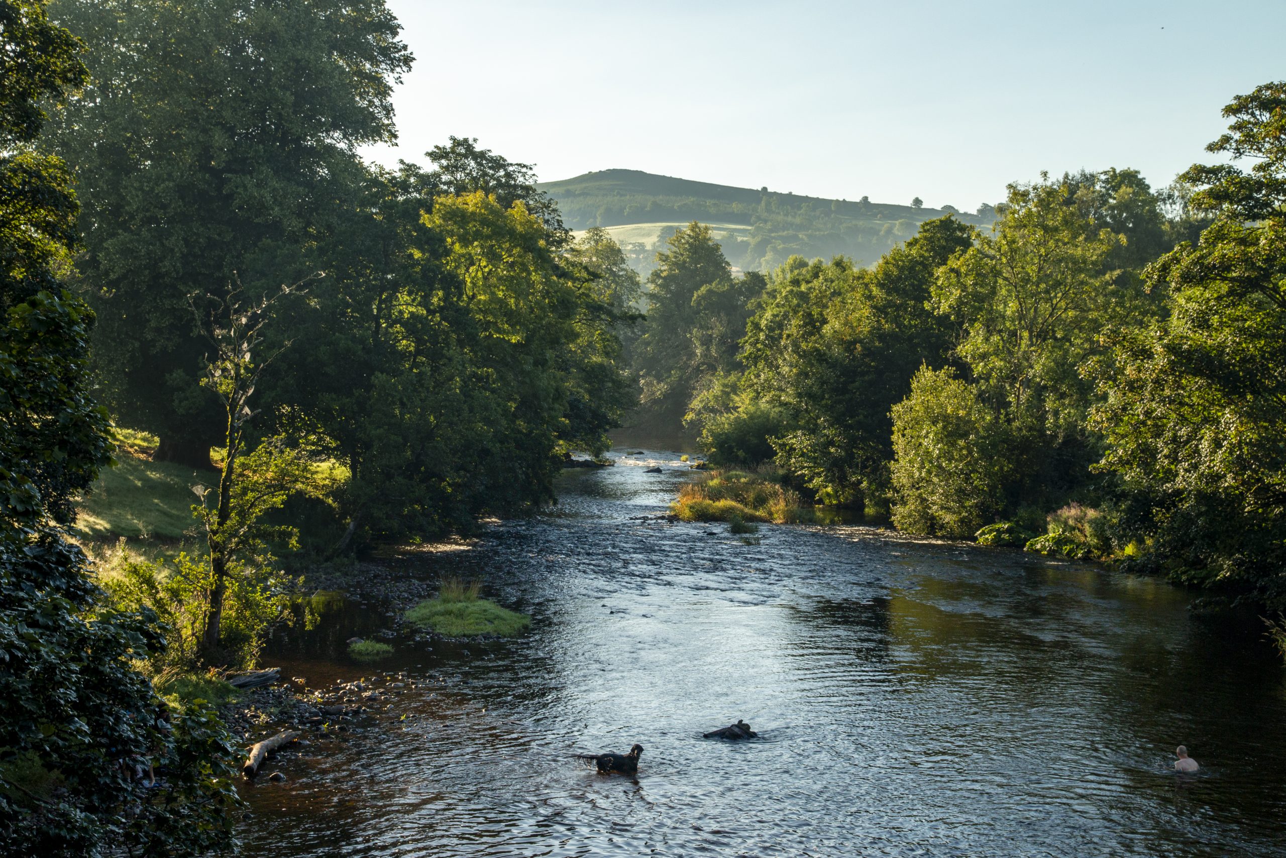 the river flowing under the bridge at Penpont, it feeds the Usk