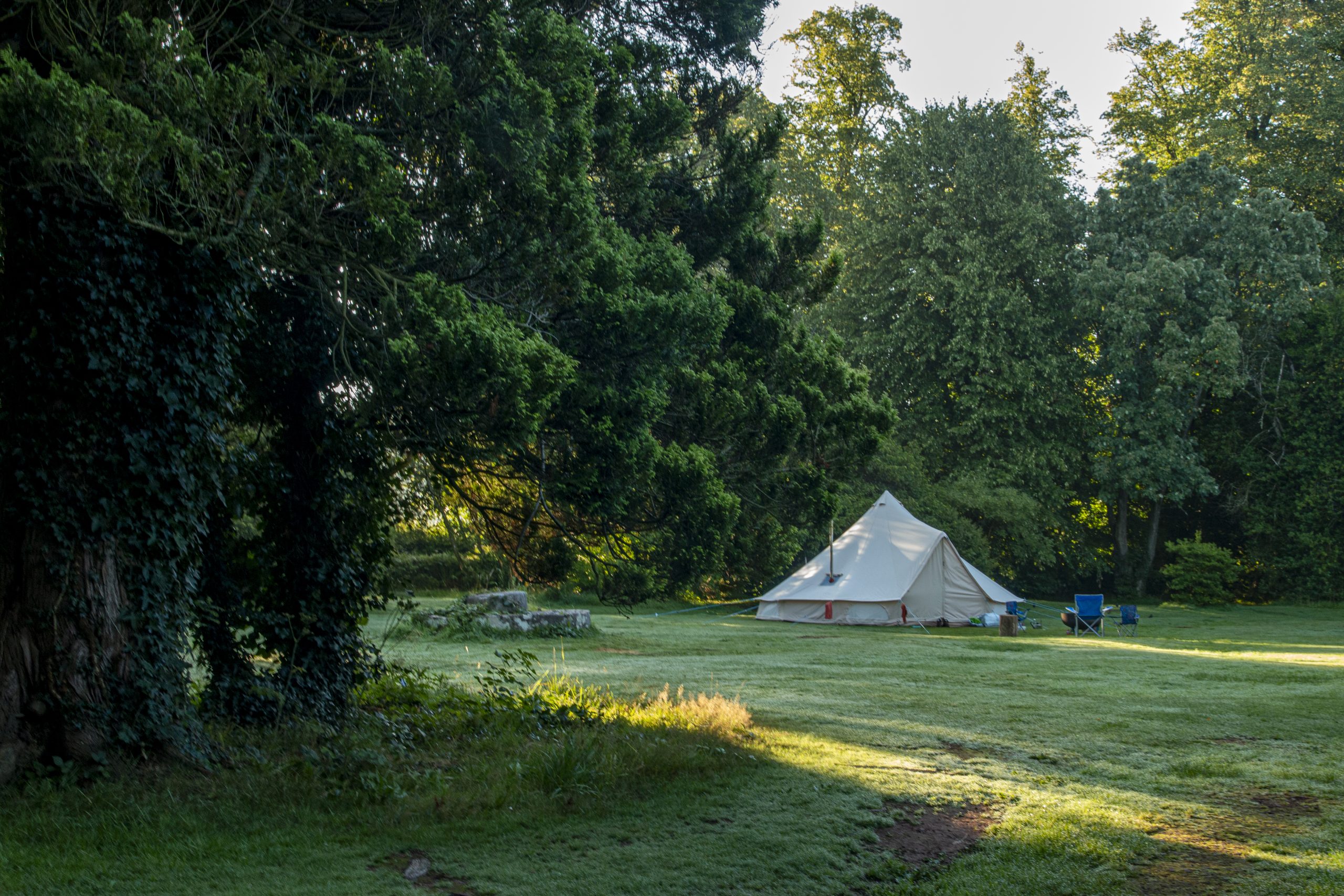 a tent in the field early morning awaiting sun up.