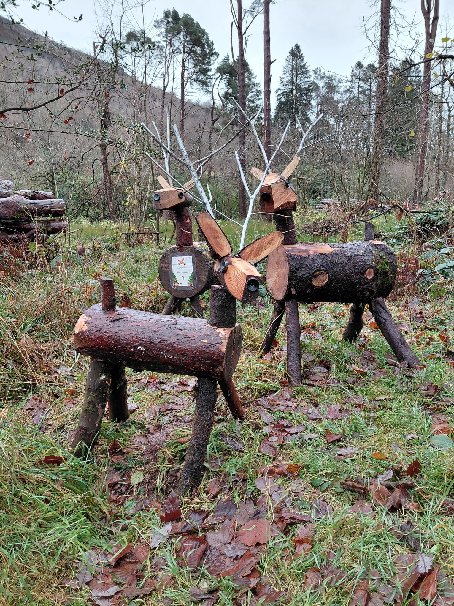 Wooden reindeer sculptures at Craig y Nos Country Park.