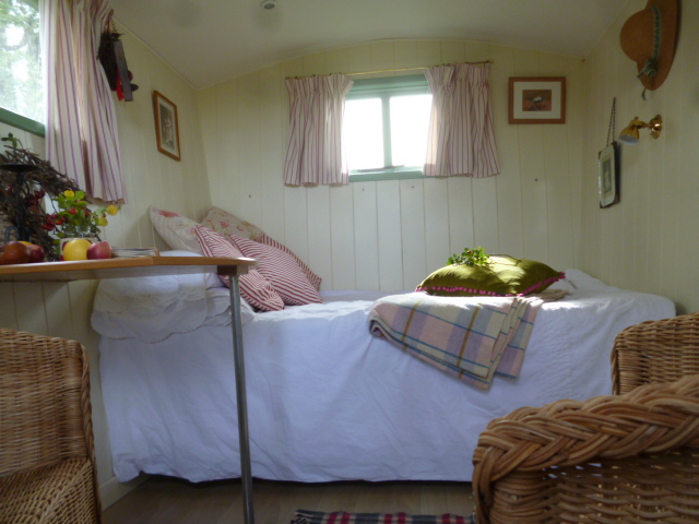 Warm, compact interior of a glamping hut designed for two guests.