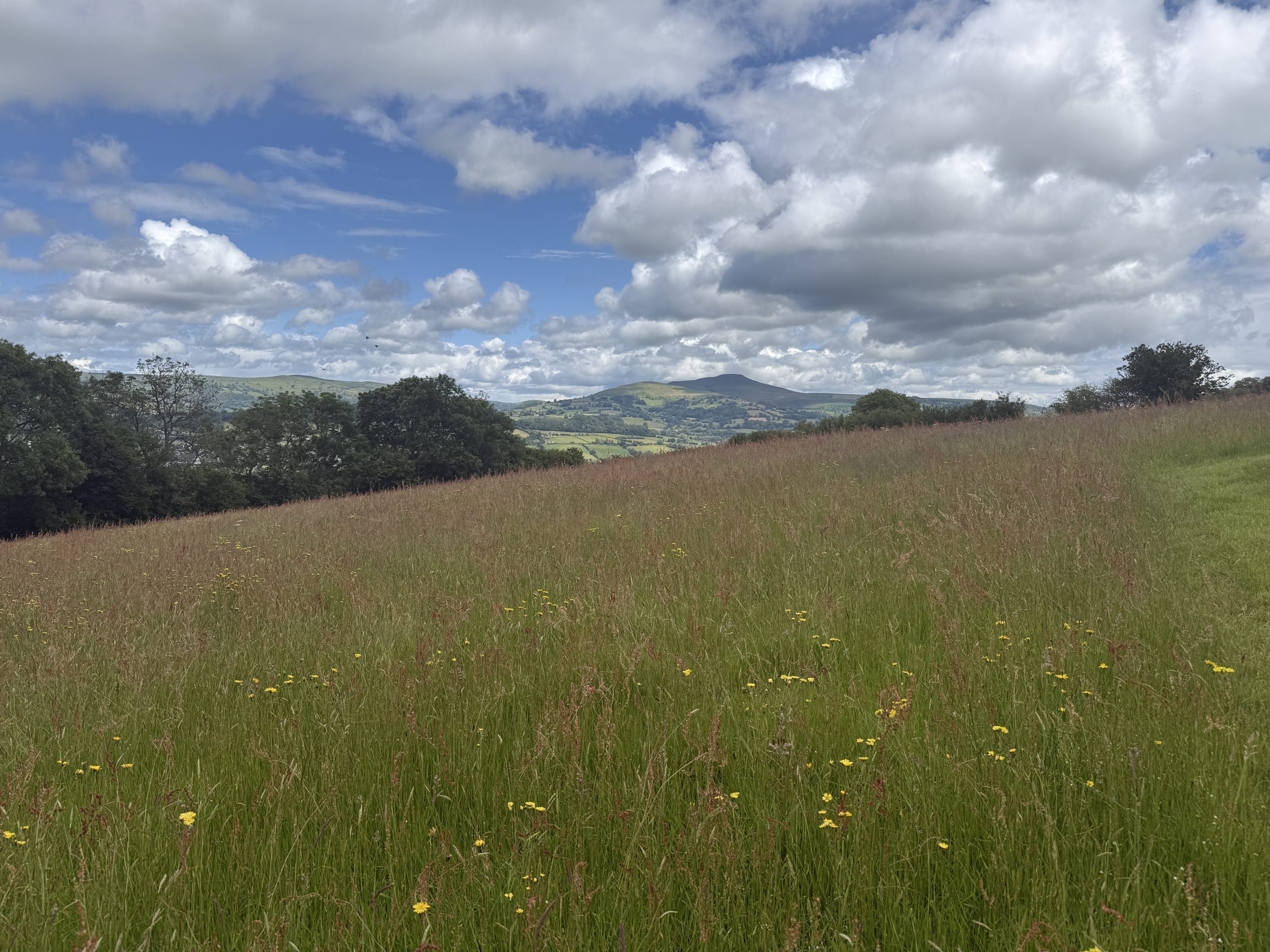 Peaceful countryside escape at Caban Tarren near Crickhowell