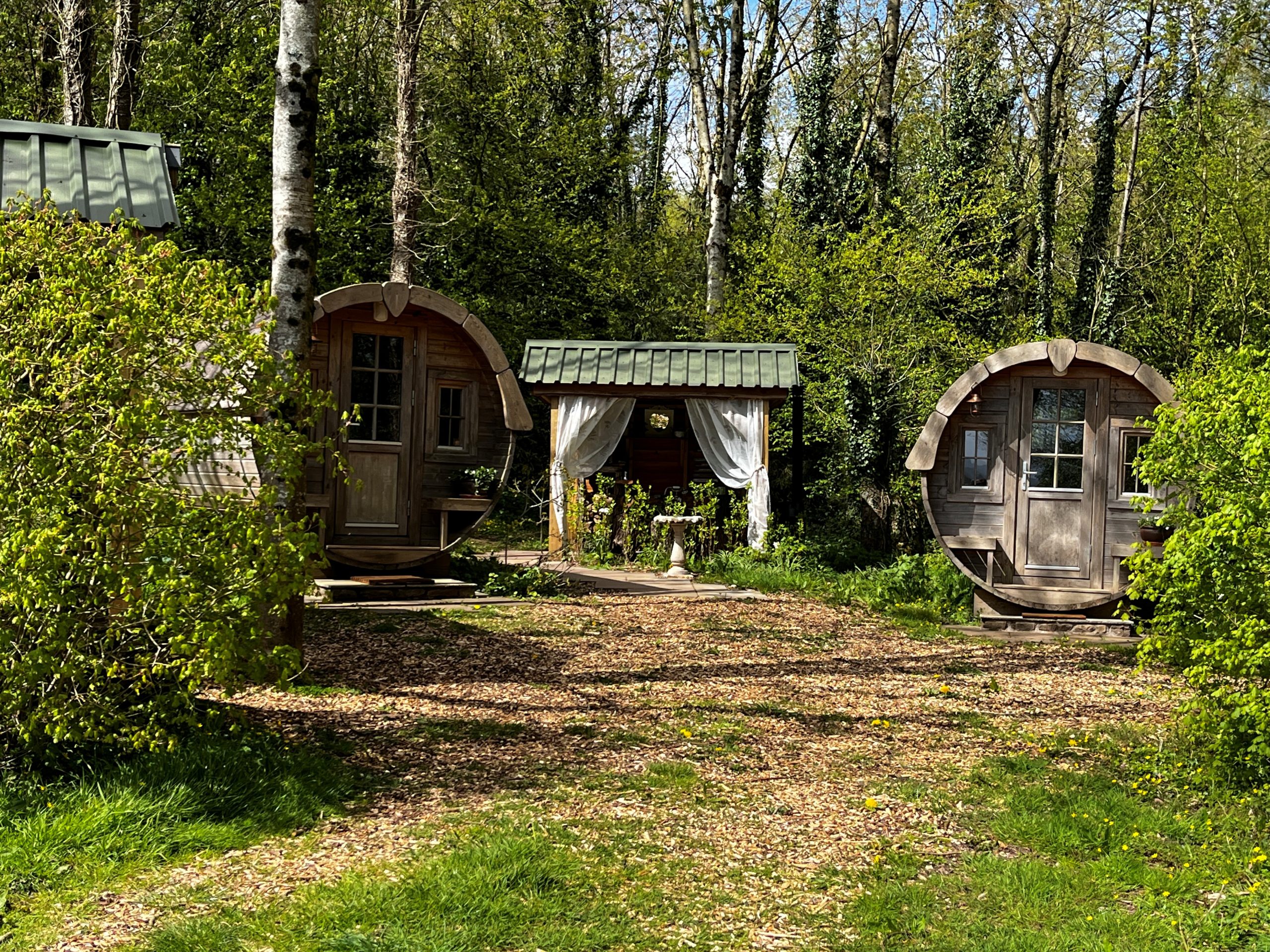 Woodland glamping barrel pods and outdoor seating area in Bannau Brycheiniog (Brecon Beacons) National Park