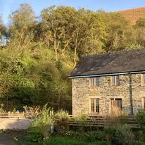 Camping, glamping and self-catering at Fforest Fields