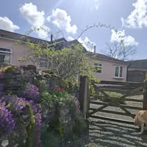 Camping, glamping and self-catering at Fforest Fields