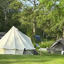 Camping, glamping and self-catering at Fforest Fields