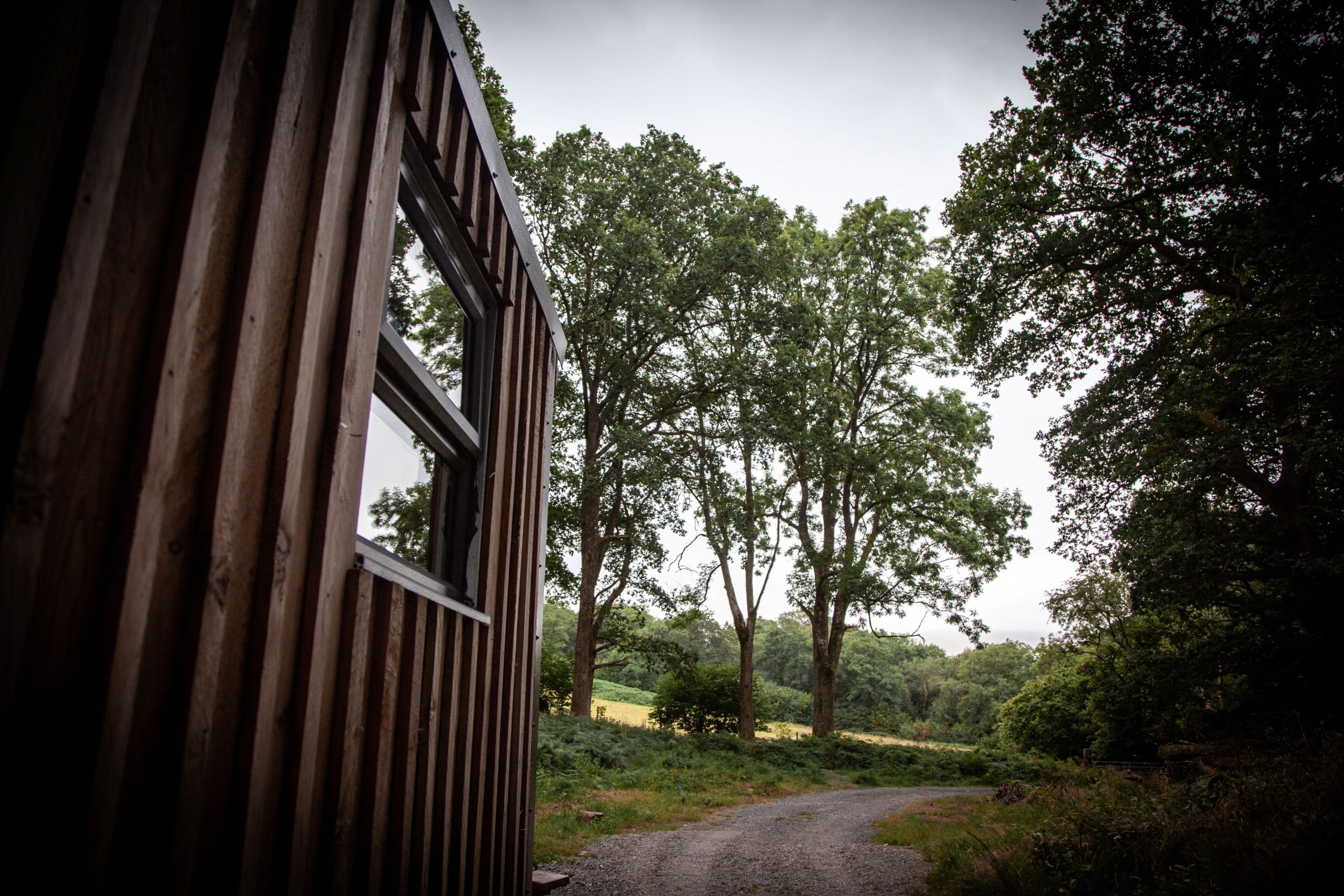Coed Yr Henbont Cabin surrounded by ancient woodland in Bannau Brycheiniog National Park.