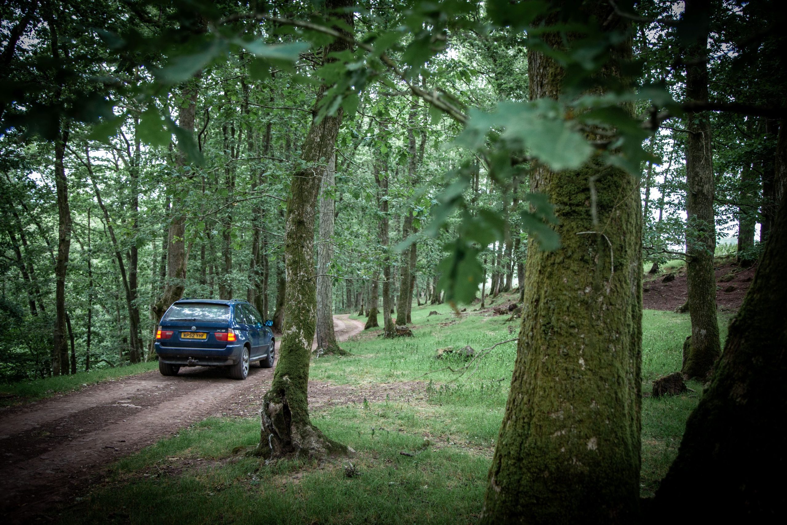 Peaceful woodland retreat offering an off-grid escape in rural Carmarthenshire.