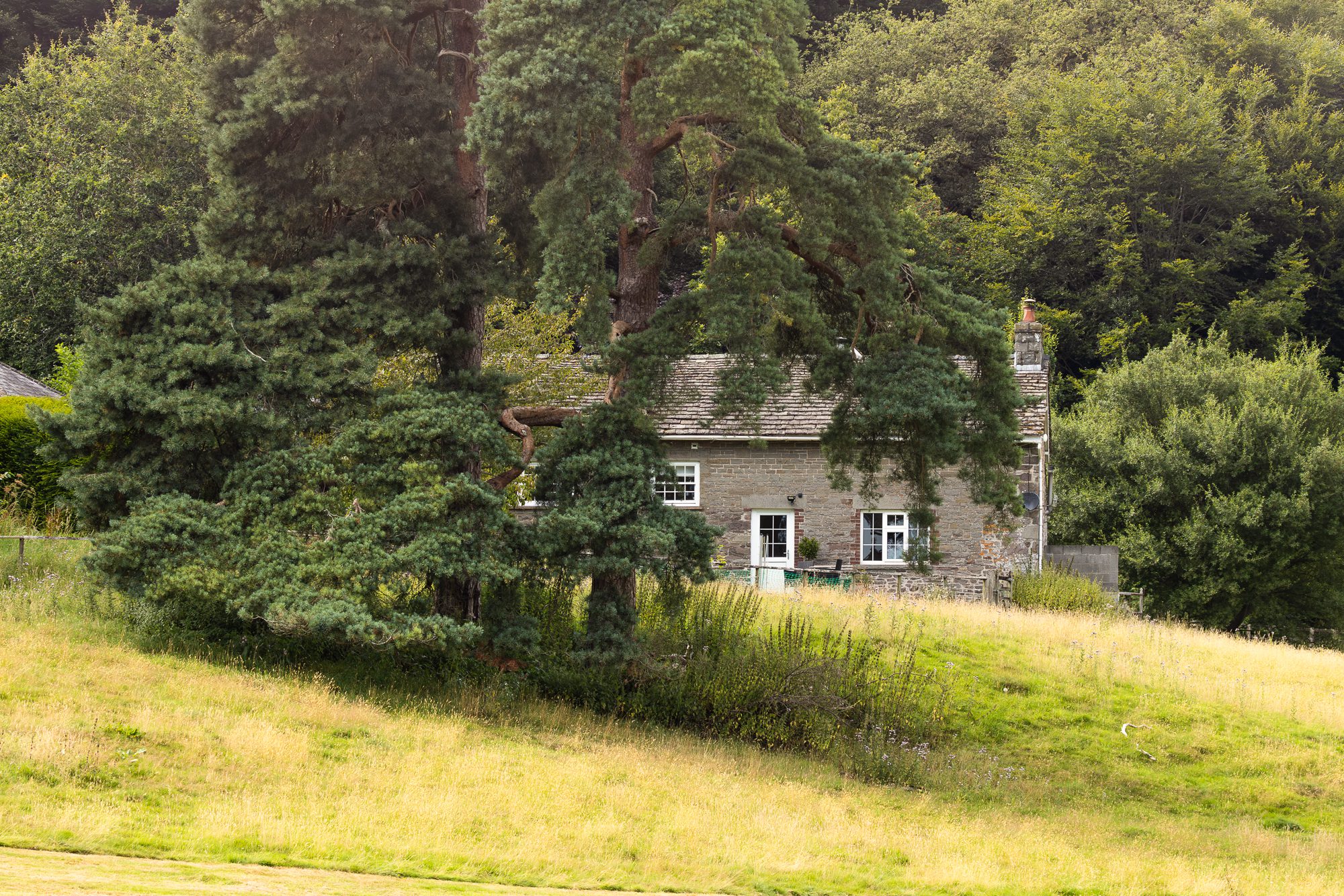 Stone cottage behind mature trees and a grassy slope at Glanusk Estate